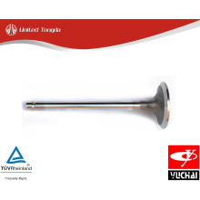 Yuchai YC6L intake valve L3000-1007011B